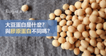 大豆蛋白是什麼？和膠原蛋白有什麼不同？